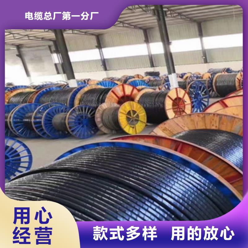 计算机电缆-信号电缆专注生产N年