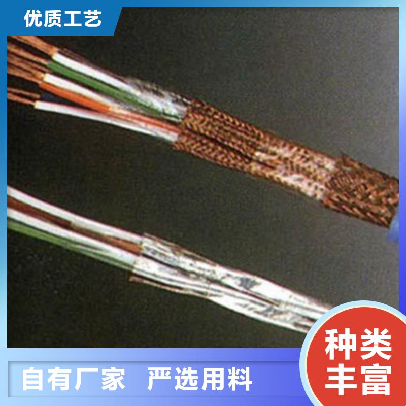 【计算机电缆屏蔽电缆欢迎新老客户垂询】