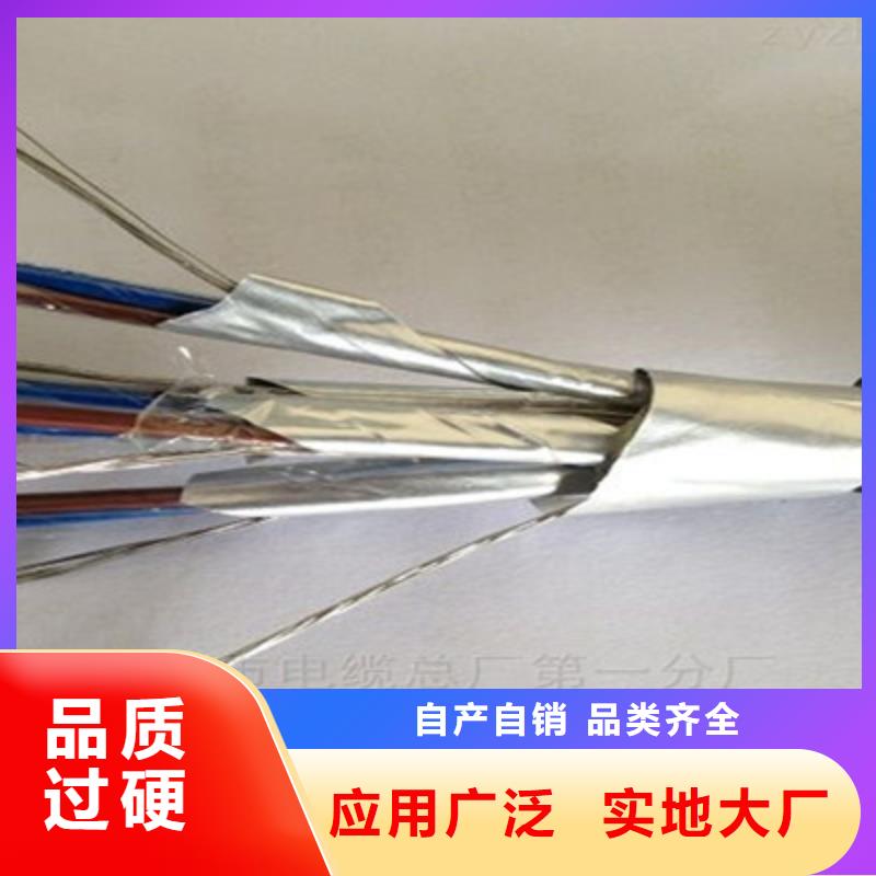 计算机电缆通信电缆真材实料诚信经营