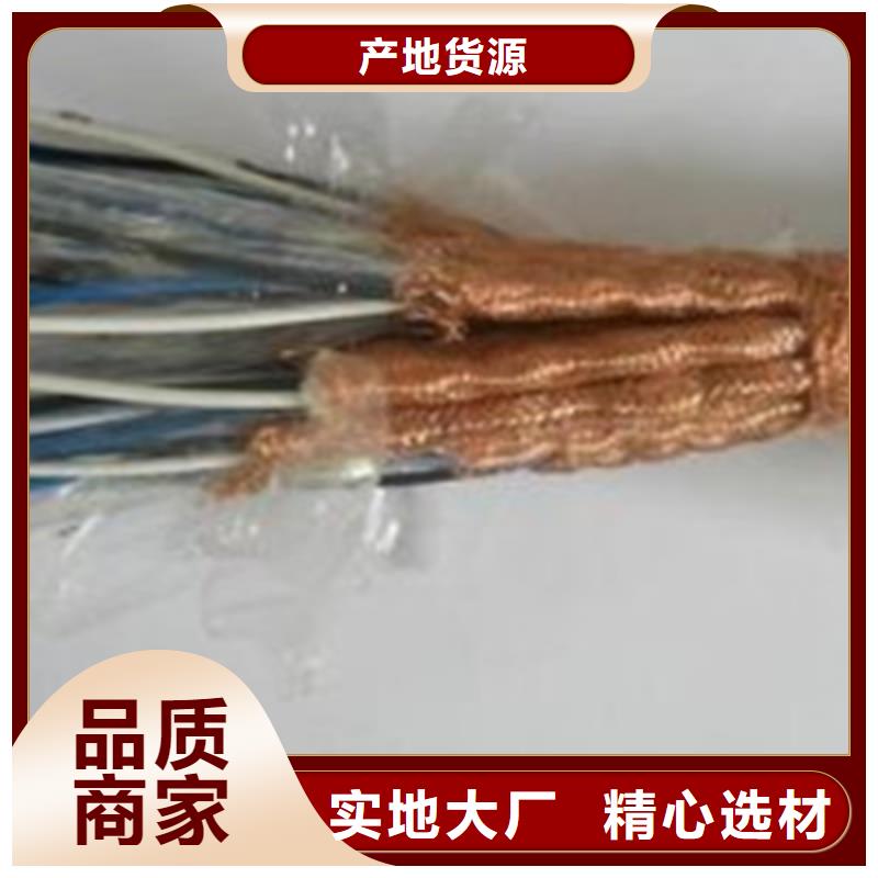 计算机电缆-【铁路信号电缆】可接急单