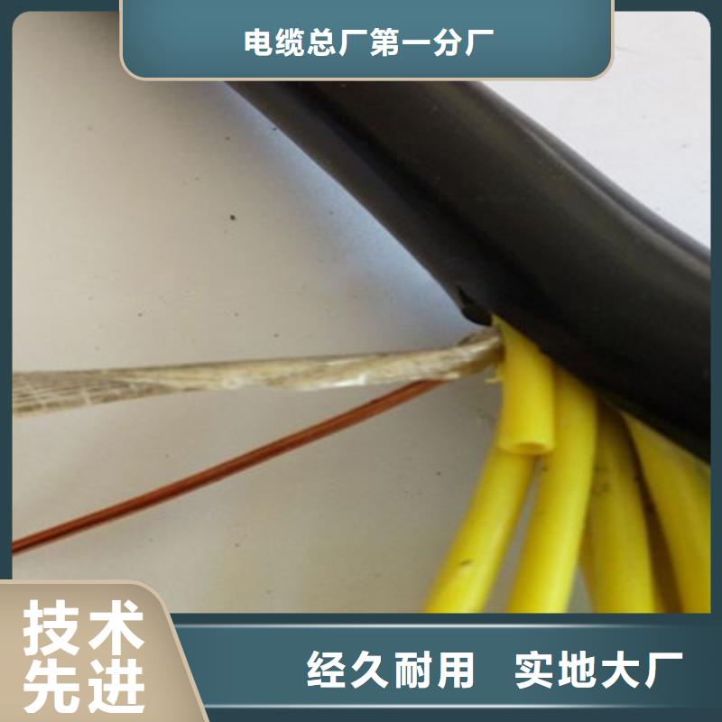 控制电缆通信电缆用心做好每一件产品