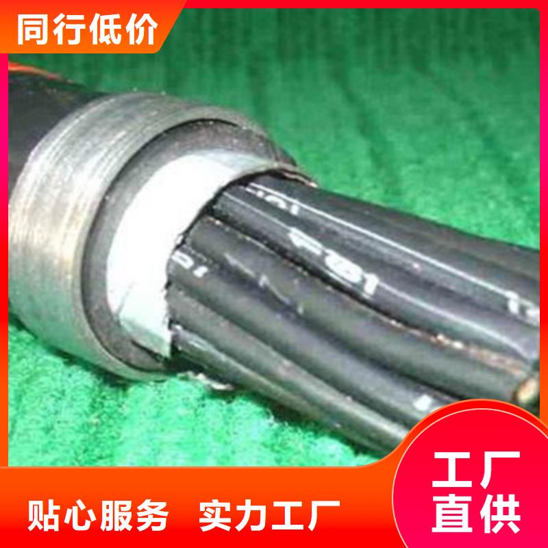 【控制电缆】屏蔽电缆一站式采购商家