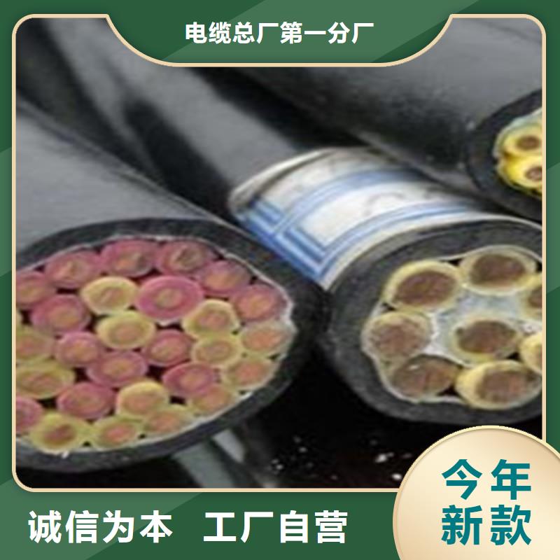 控制电缆屏蔽电缆品质保证实力见证