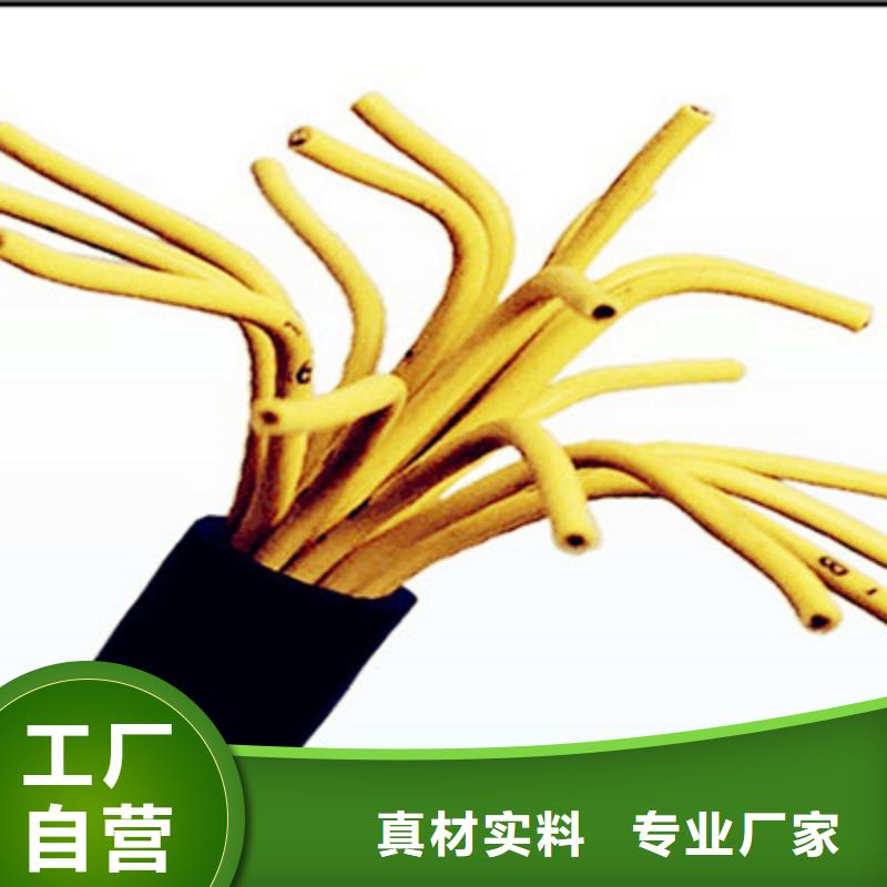 【控制电缆】屏蔽电缆满足客户所需