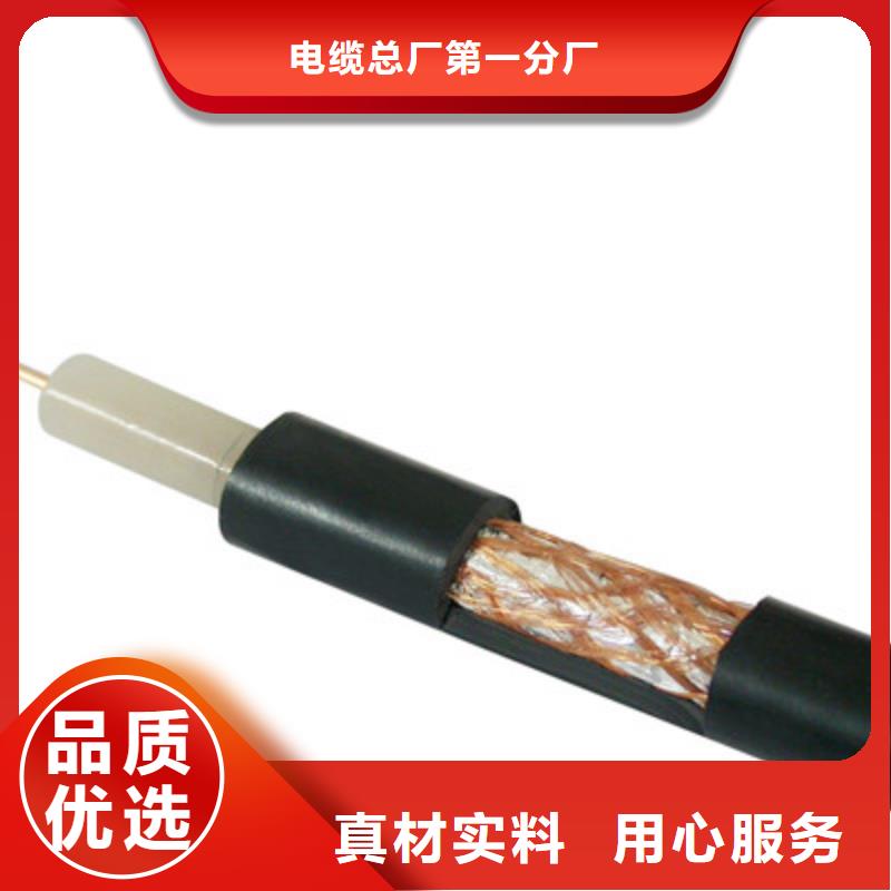 射频同轴电缆【计算机电缆】厂家货源稳定