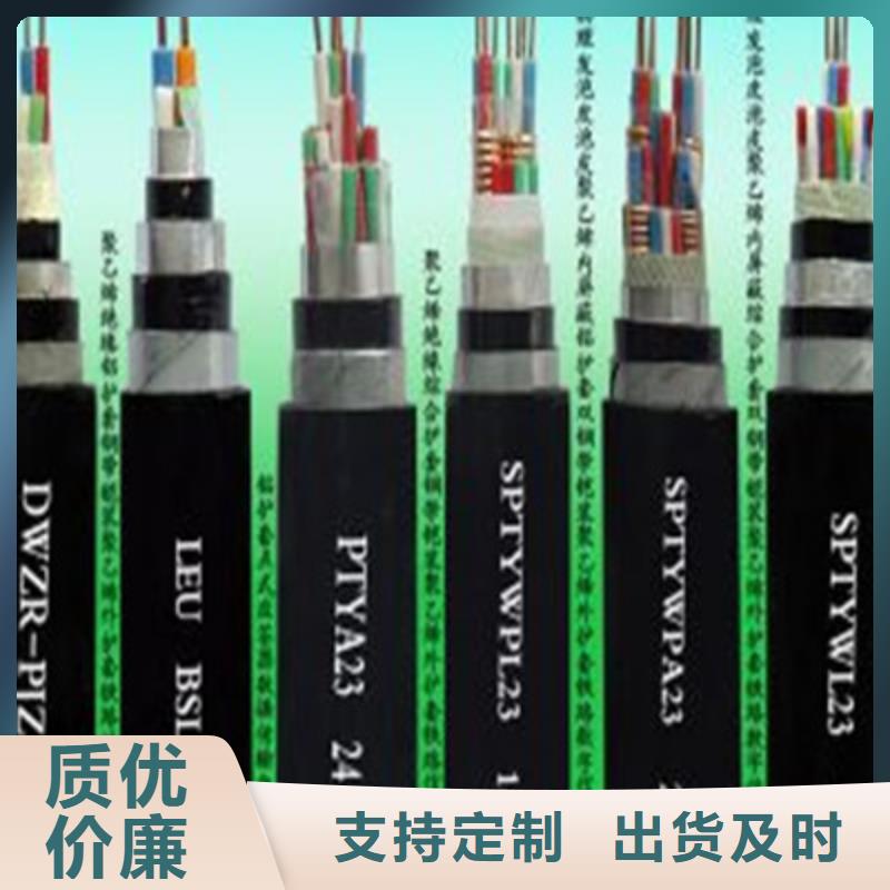 铁路信号电缆信号电缆精心打造