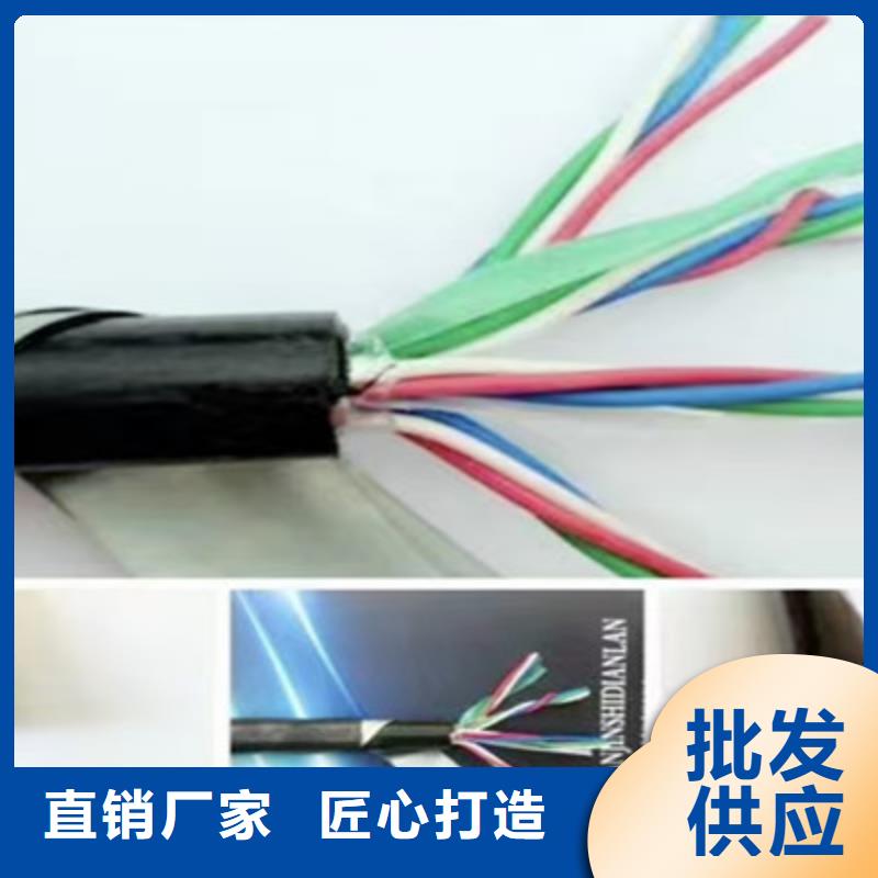 铁路信号电缆信号电缆精心打造