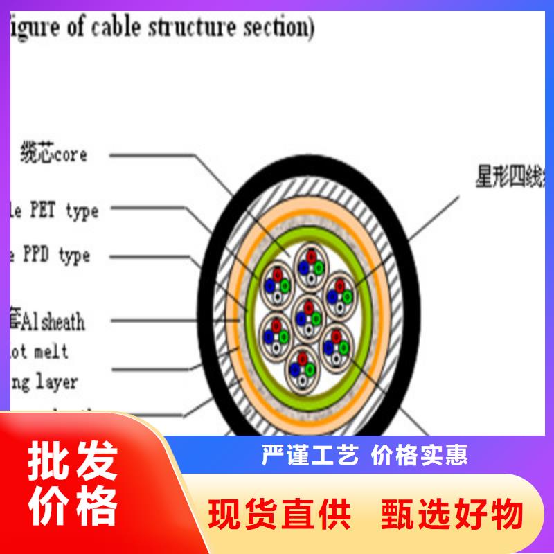 铁路信号电缆【信号电缆】按需设计