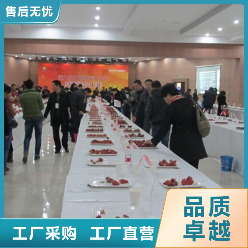 草莓苗樱桃苗以质量求生存