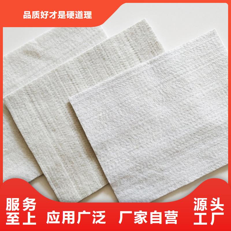 土工布膨润土防水毯订购