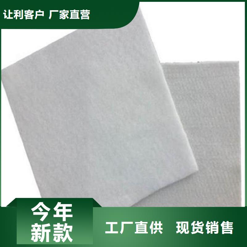 土工布【防渗膜】源厂直接供货
