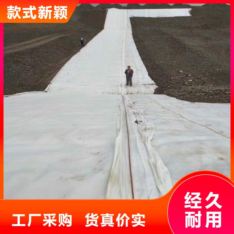 土工布-土工席生产加工