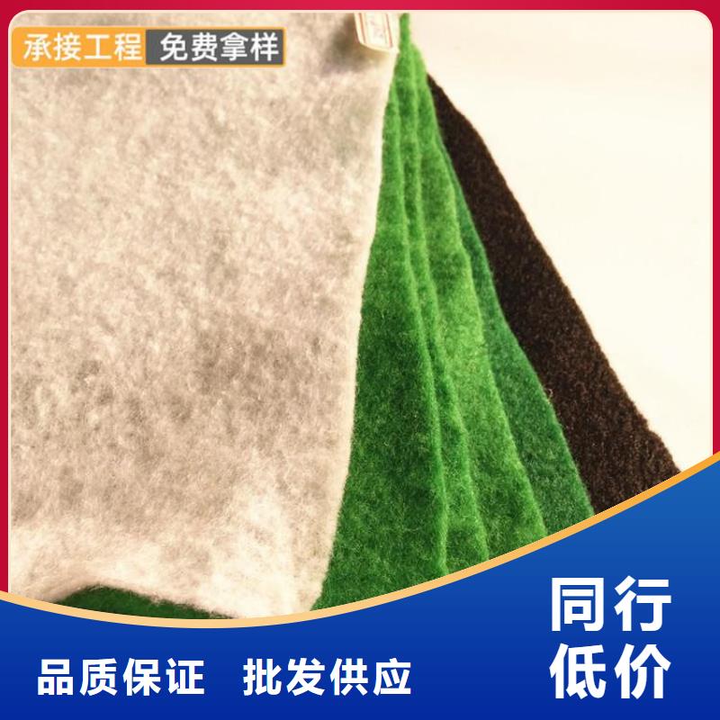 土工布膨润土防水毯订购