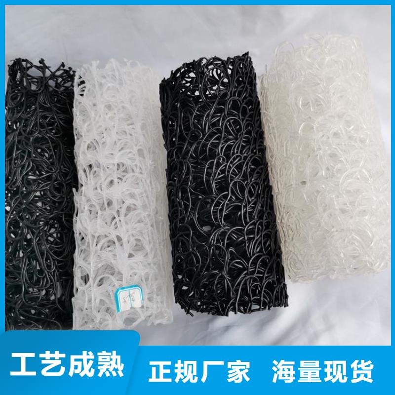 塑料盲沟土工格栅精工制作