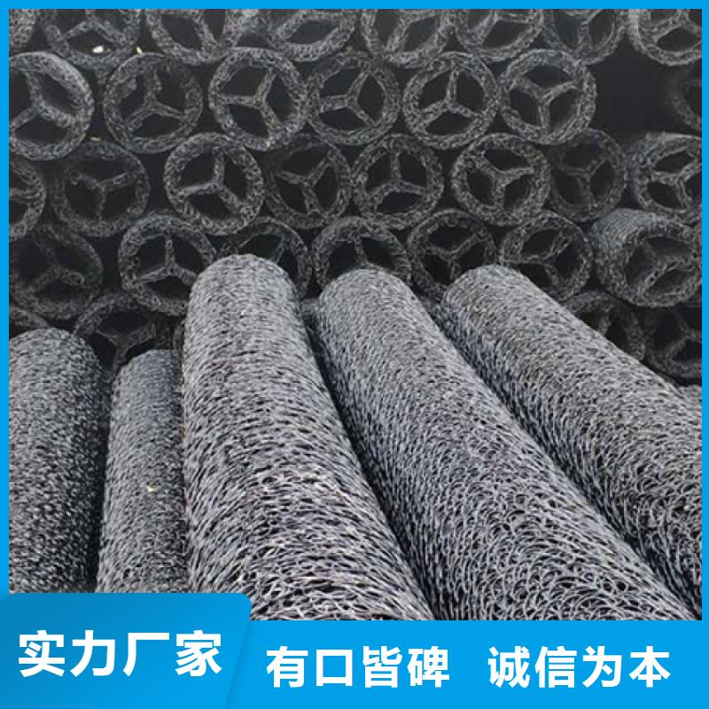 塑料盲沟土工格栅精工制作