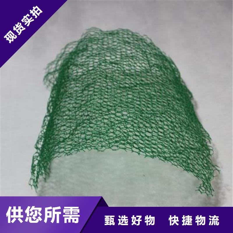 三维植被网土工格栅联系厂家