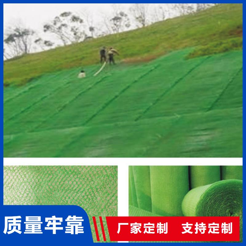 【三维植被网】防渗膜大厂生产品质