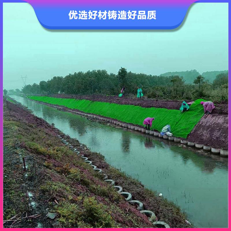 三维植被网土工格栅联系厂家