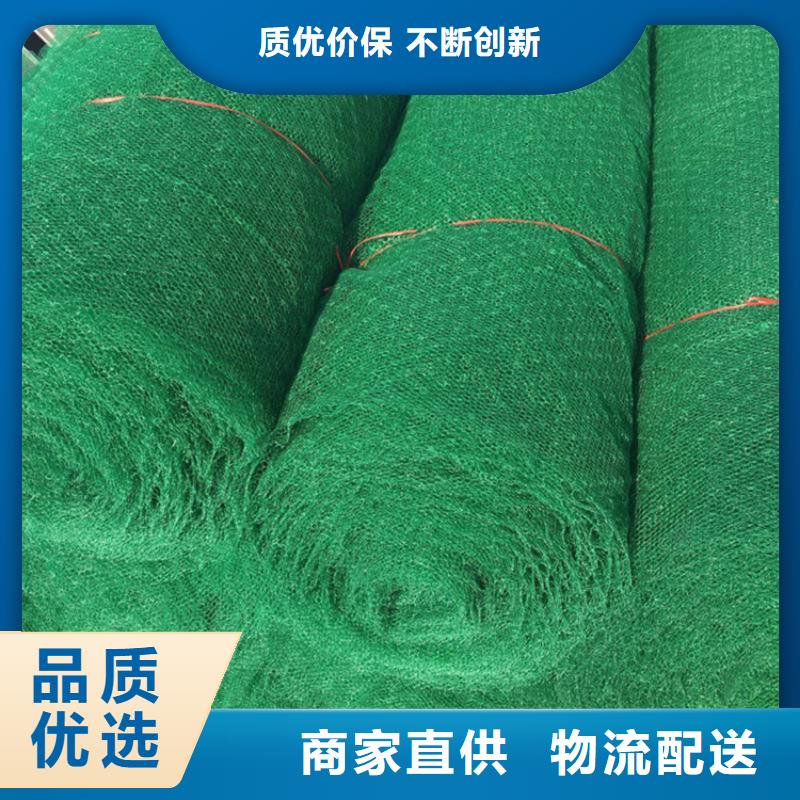 三维植被网防裂贴支持大小批量采购