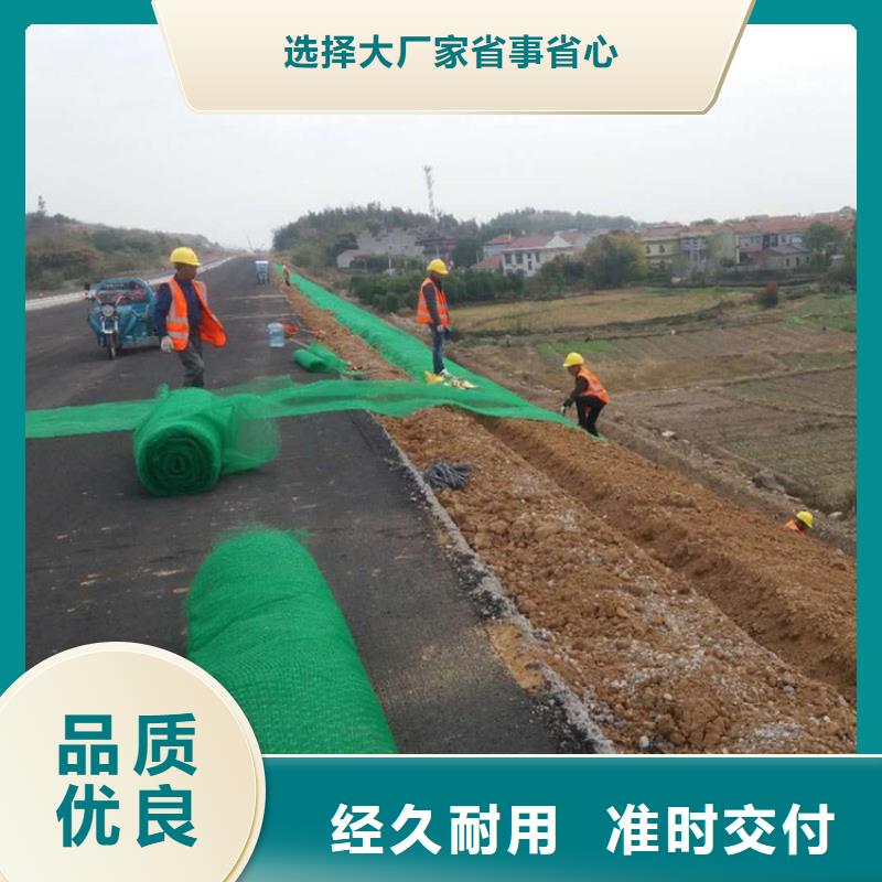 三维植被网,防水板设备齐全支持定制