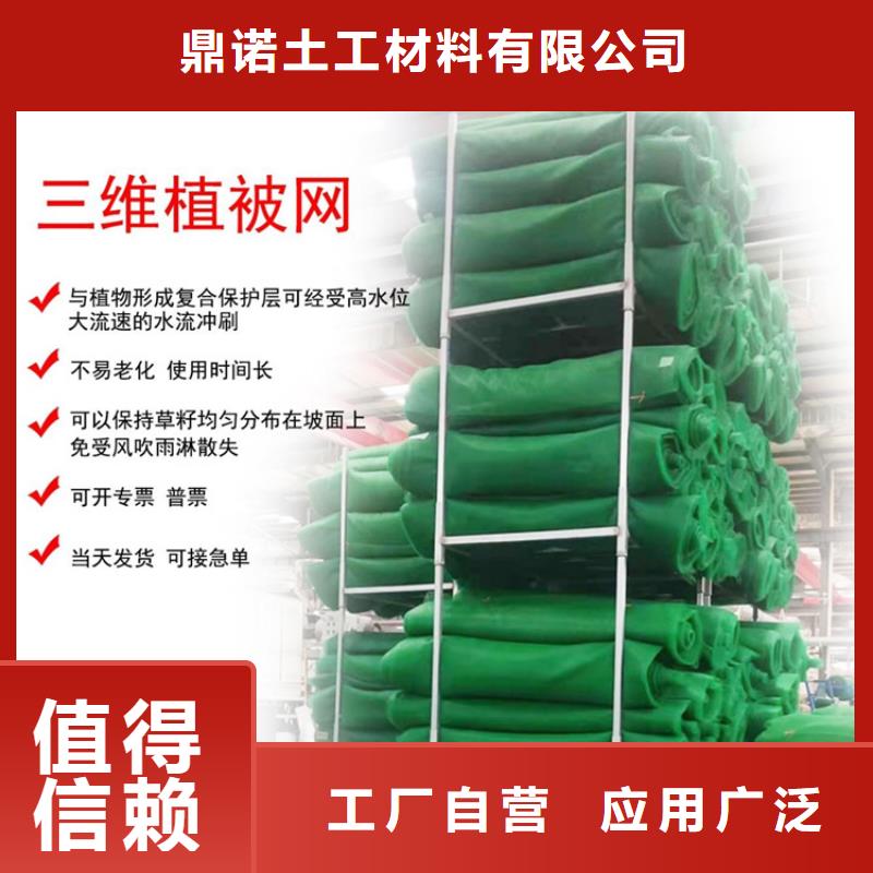 三维植被网土工布按需设计