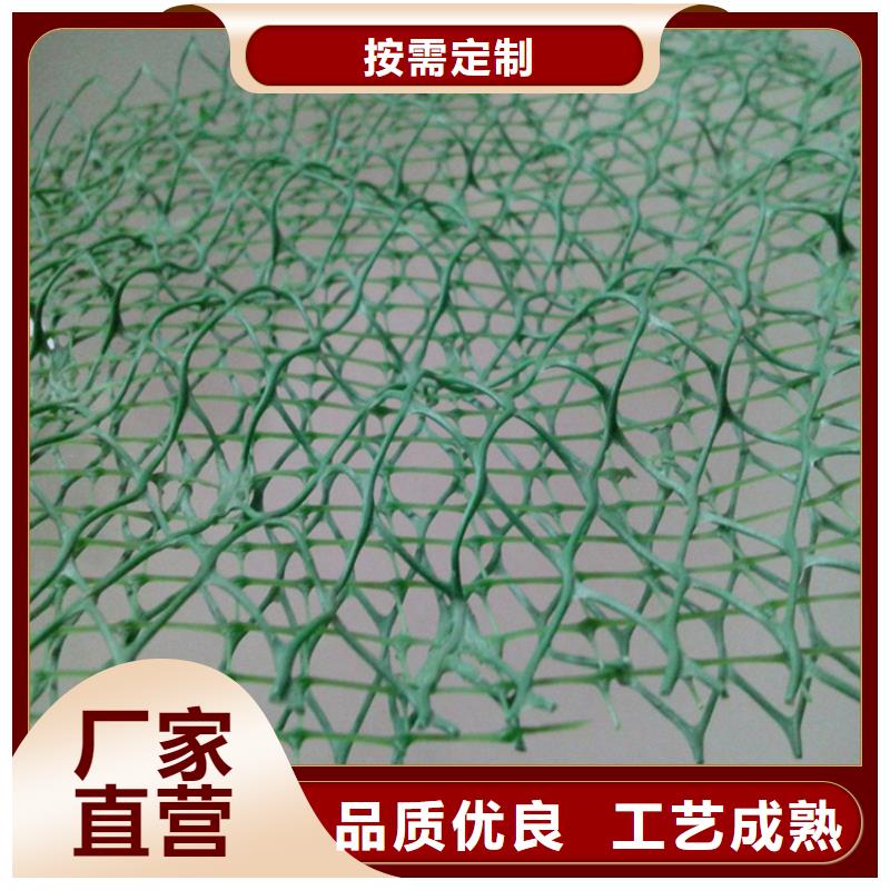 三维植被网生态袋支持定制