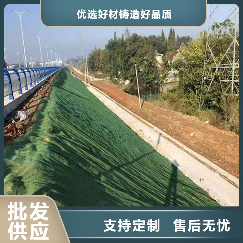 三维植被网-土工格栅源厂直销