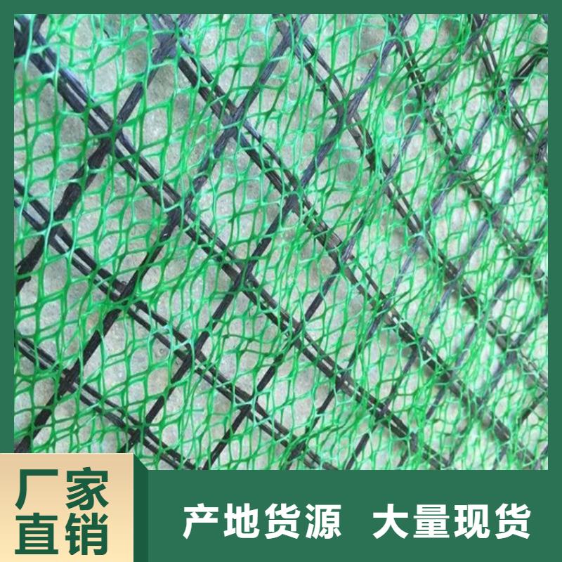 【三维植被网】土工布欢迎来电询价