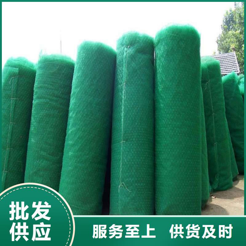 三维植被网-土工格栅价格有优势