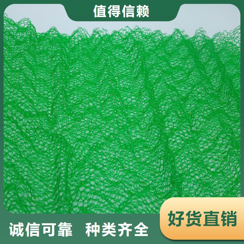 三维植被网HDPE土工膜匠心品质