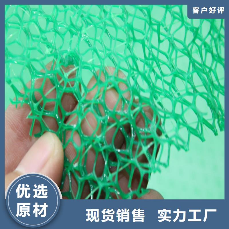 三维植被网土工膜用心提升细节