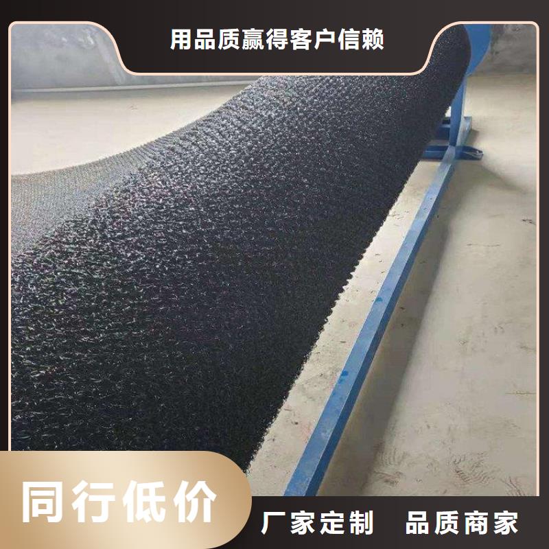 水土保护毯,塑料排水板厂家实力雄厚