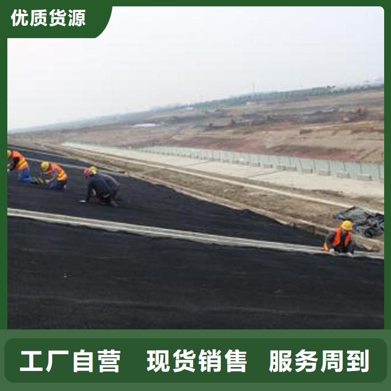 水土保护毯_抗裂贴产地直销