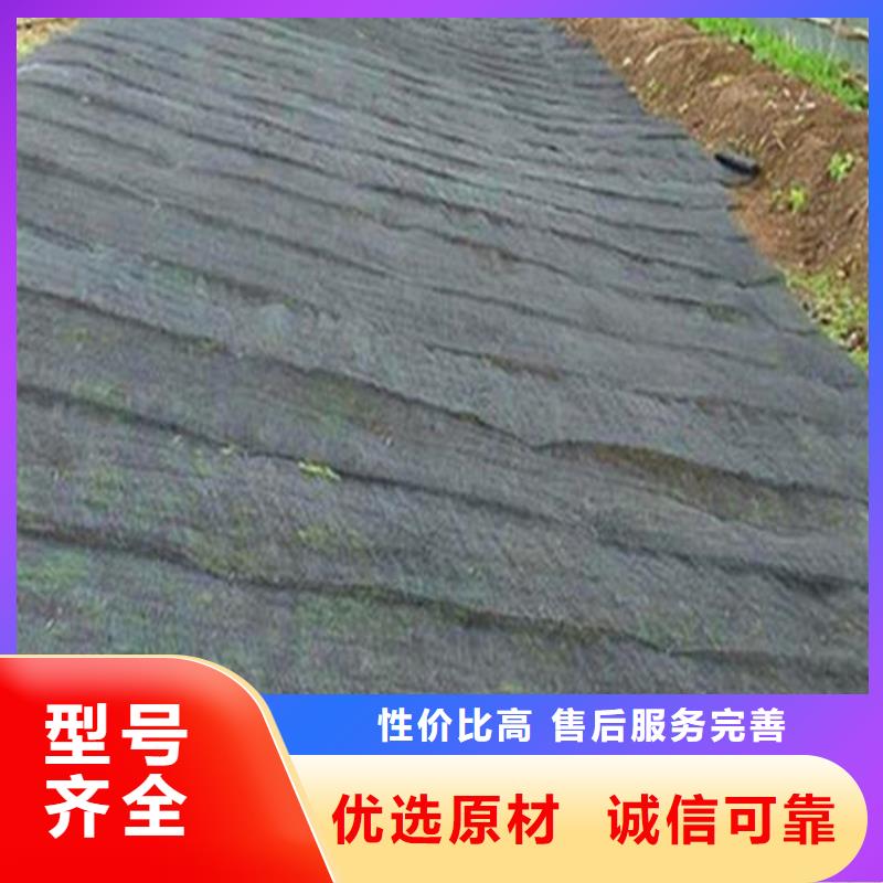 水土保护毯HDPE土工膜优选厂商