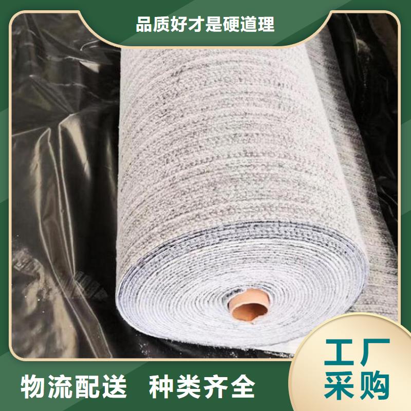 膨润土防水毯-防草布精工制作