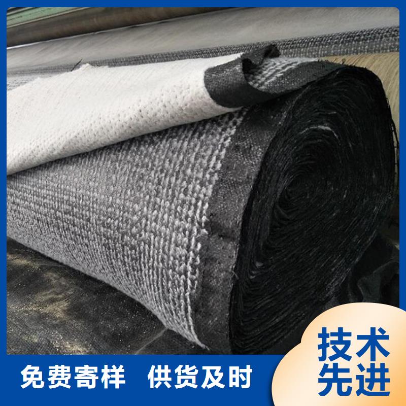 膨润土防水毯-防草布精工制作