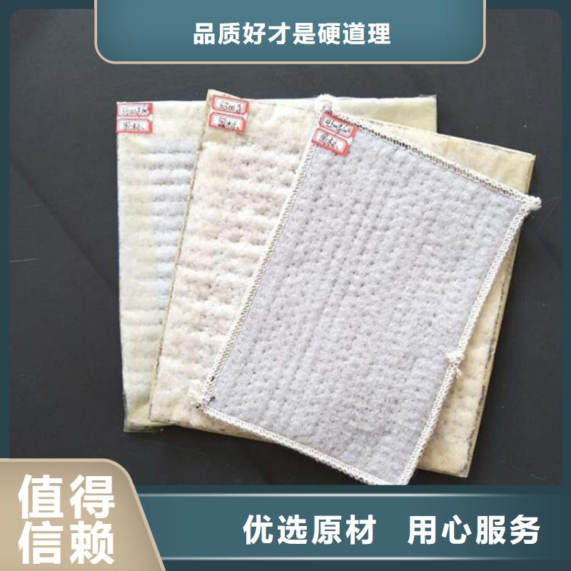 膨润土防水毯-防草布精工制作