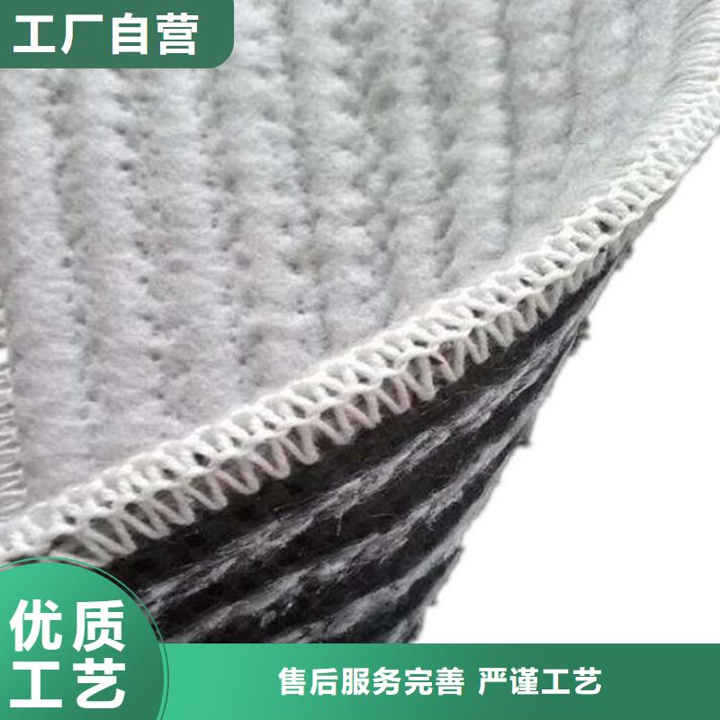 膨润土防水毯_防渗膜产地货源