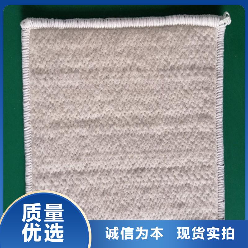 膨润土防水毯-防草布精工制作