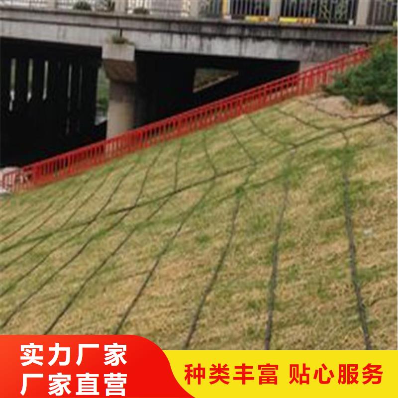 椰丝毯,【防水膜】自有厂家