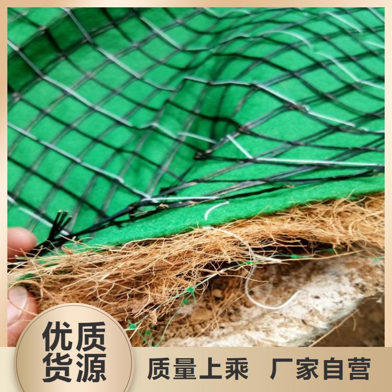 椰丝毯-土工格栅客户信赖的厂家