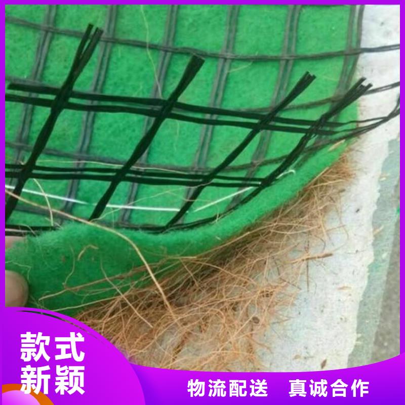 【椰丝毯复合土工膜实力才是硬道理】