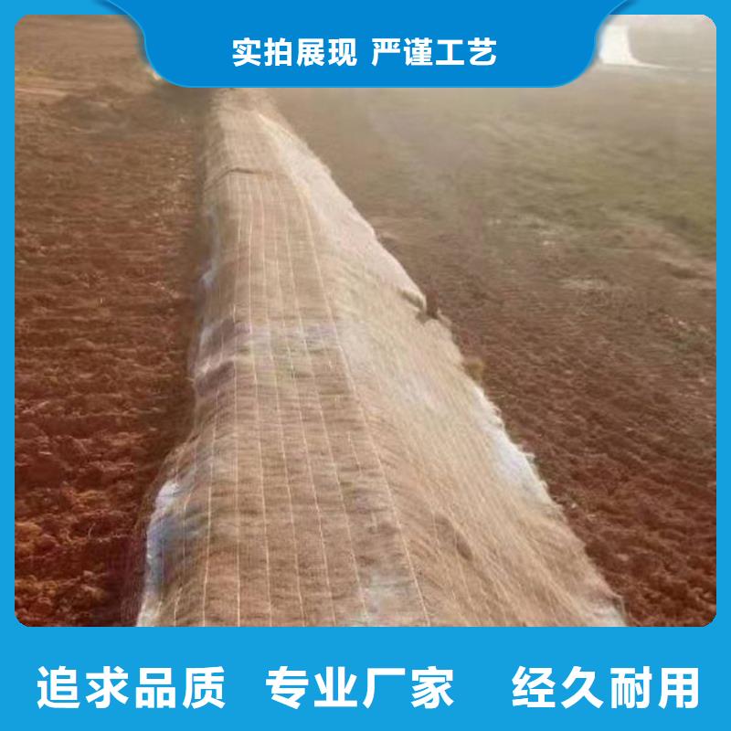 椰丝毯塑料排水板48小时发货