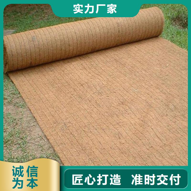 椰丝毯【植草格】今日新品