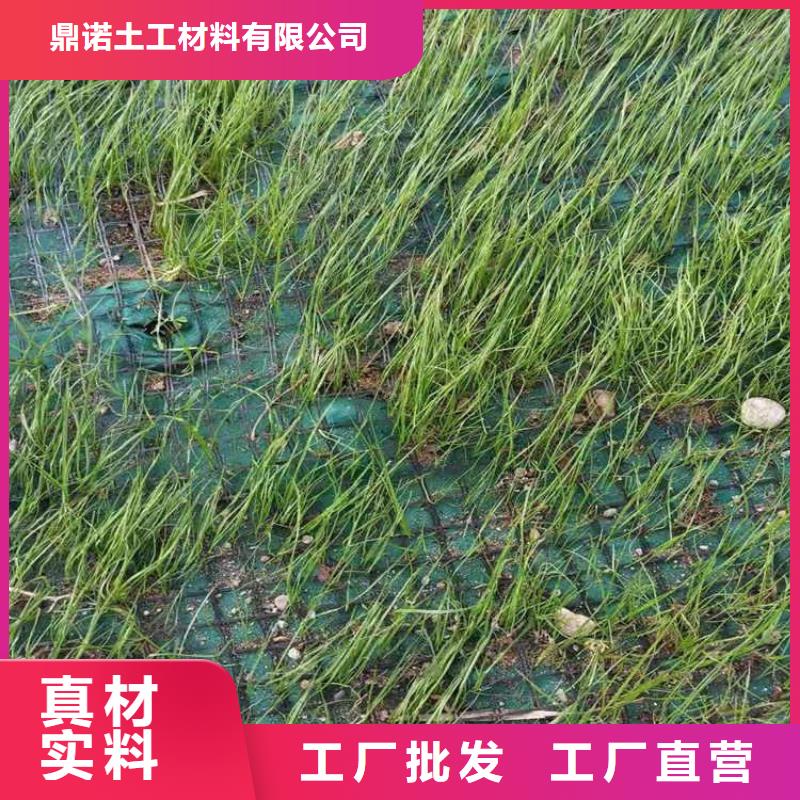 椰丝毯膨润土防水毯厂家经验丰富