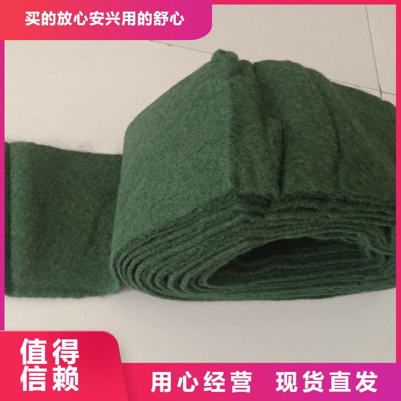 裹树布-植草格厂家直销规格多样