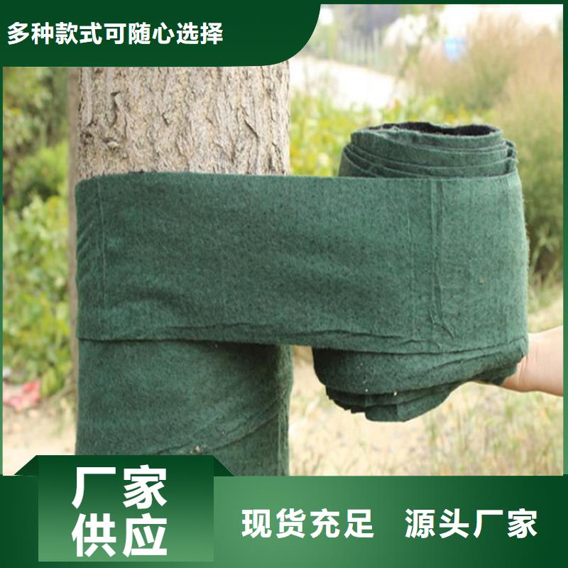 裹树布土工格栅海量货源