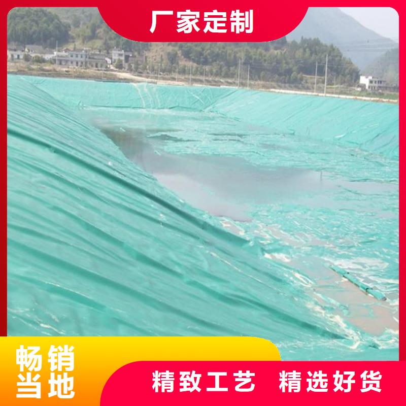 土工膜双向塑料土工格栅正规厂家