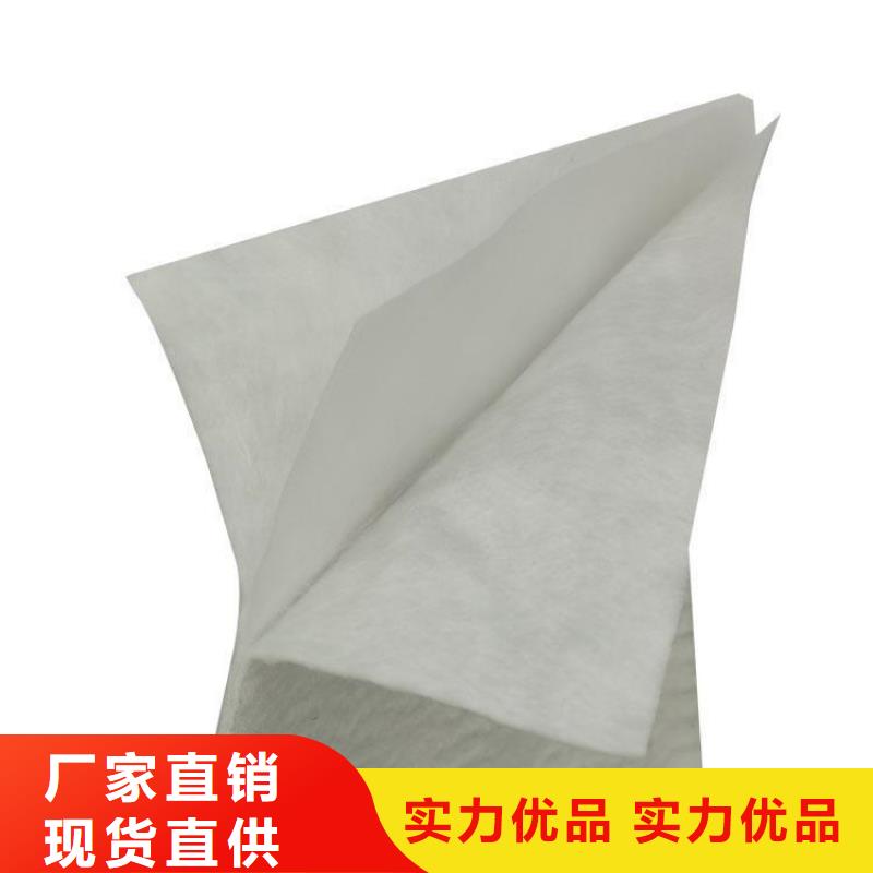 土工布植草格品质保证实力见证