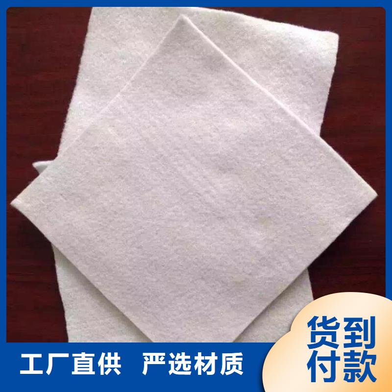 土工布-复合土工膜厂家工艺先进